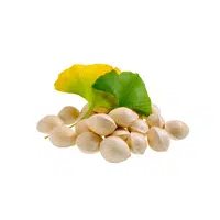 Ginkgo Nut