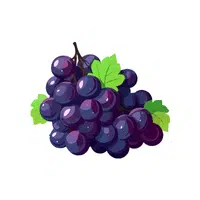 Grapes | Organic Food Items in English