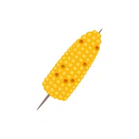 Grilled Corn | Street food Items Names in English