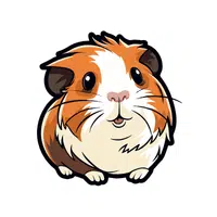 Guinea Pig