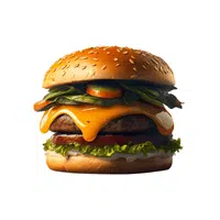 Hamburger | Street food Items Names in English