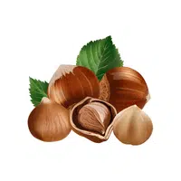 Hazelnut | Types of Nuts Names in English