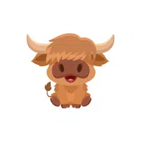 Highland Cow | Domestic Animals Names in English