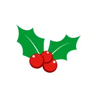 Holly | Christmas Items Names in English