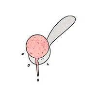 Ice Cream Scoop
