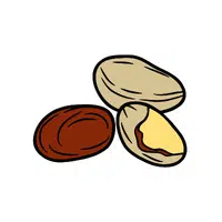 Jack Nut | Types of Nuts Names in English