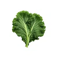 Kale | Organic Food Items in English