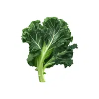 Kale | Leafy Vegetables Names in English
