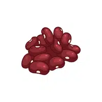 Kidney Beans