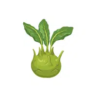 Kohlrabi leaves | Leafy Vegetables Names in English