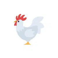 Layer Chicken | Domestic Animals Names in English