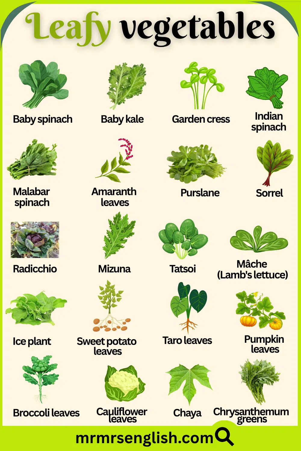 Leafy Vegetables Names and their Pictures