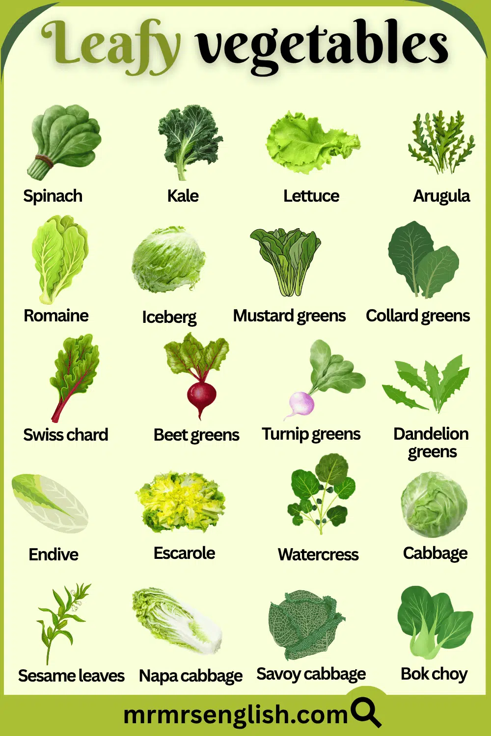 Leafy Vegetables Names in English and Pictures