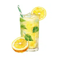 Lemonade | Street food Items Names in English