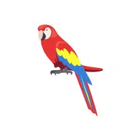 Macaw | Domestic Animals Names in English
