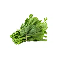 Malabar spinach | Leafy Vegetables Names in English