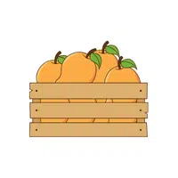 Mangoes | Organic Food Items in English