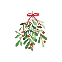 Mistletoe | Christmas Items Names in English