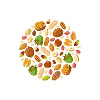 Mixed Nuts | Types of Nuts Names in English