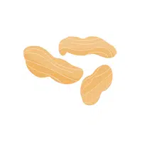 Monkey Nut | Types of Nuts Names in English