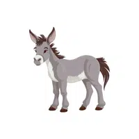 Mule | Domestic Animals Names in English