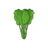 Mustard spinach | Leafy Vegetable name