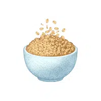 Oats | Organic Food Items in English