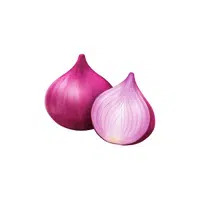 Onions | Organic Food Items in English