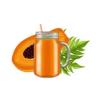 Papaya smoothie | Drinks Names for Kids in English
