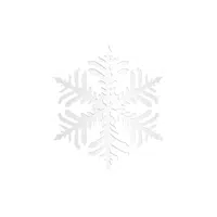 Paper Snowflake
