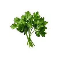 Parsley leaves | Leafy Vegetable name