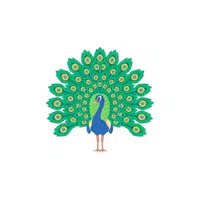 Peafowl | Domestic Animals Names in English