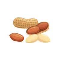 Peanuts | Organic Food Items in English