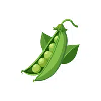 Peas | Organic Food Items in English