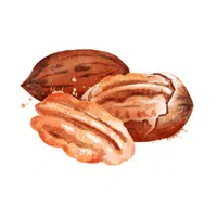 Pecan | Types of Nuts Names in English