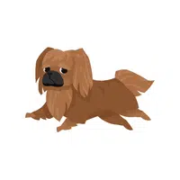 Dog | Domestic Animals Names in English