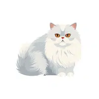 Persian Cat | Domestic Animals Names in English