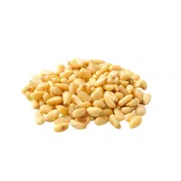 Pignolia | Types of Nuts Names in English