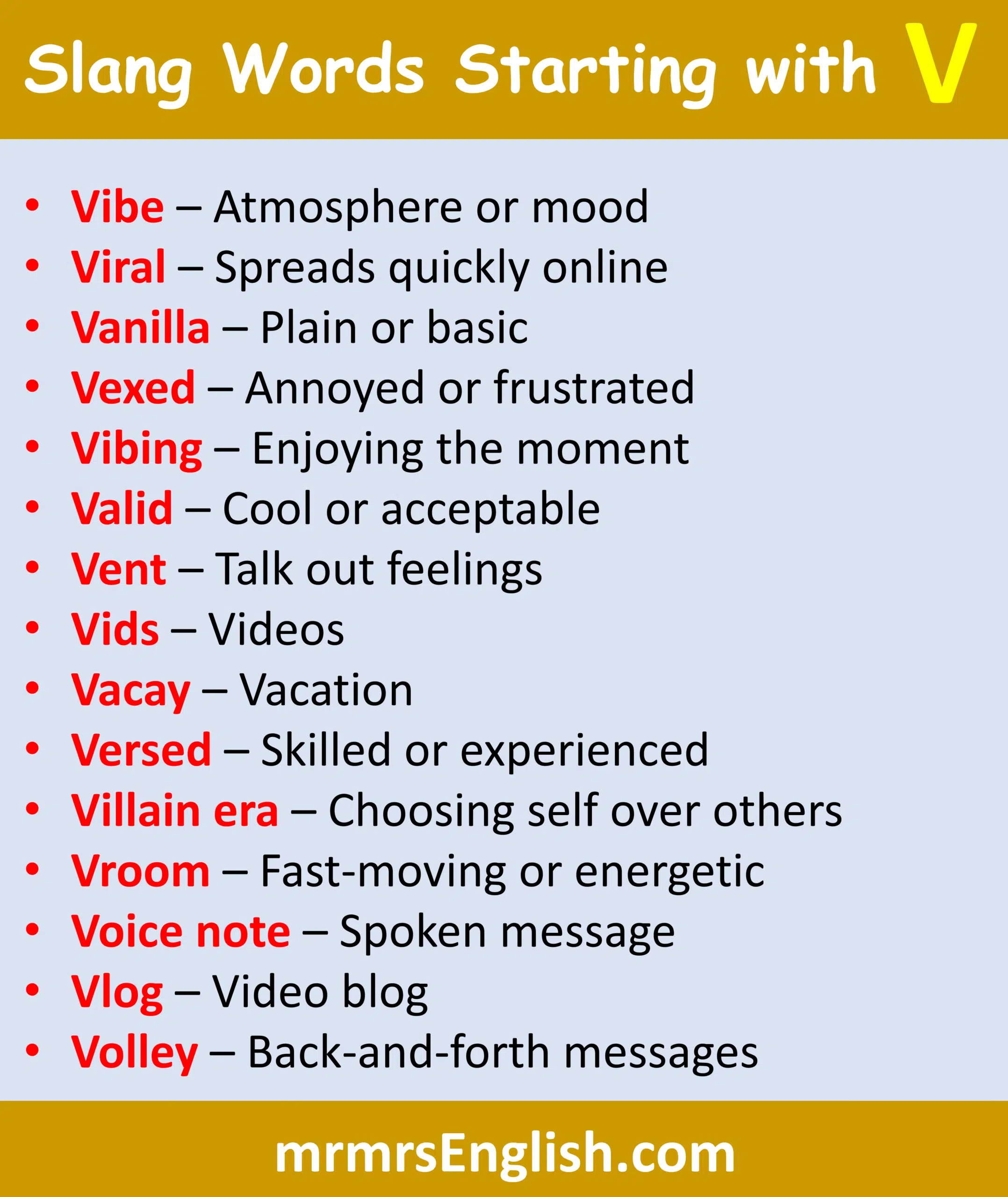 Popular Slangs that start with V