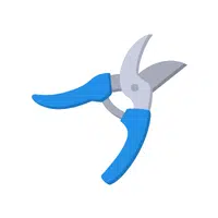 Pruning Shears