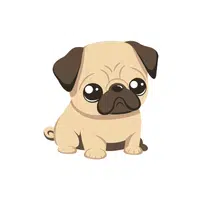 Pug | Domestic Animals Names in English