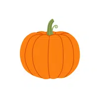 Pumpkin | Organic Food Items in English