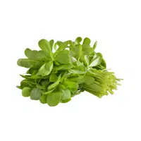 Purslane | Leafy Vegetable name