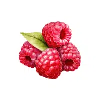 Raspberries | Organic Food Items in English