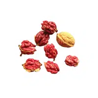 Red Walnut | Types of Nuts Names in English