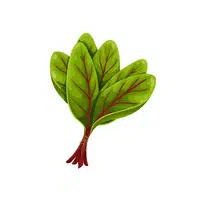 Sorrel | Leafy Vegetable name