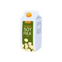 Soy Milk | Organic Food Items in English