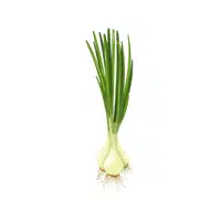 Spring onion greens | Leafy Vegetable name