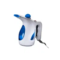 Steamer | Laundry Tools and Items in English
