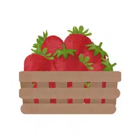 Strawberries | Organic Food Items in English